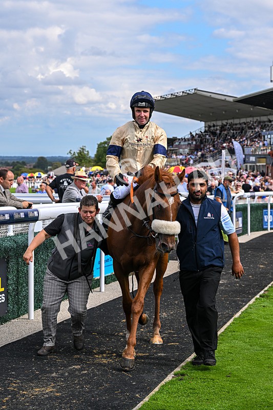 300826-Race 3-Pivotal Voyage-0233 - Race 3 2.50pm Churchill Tyres EBF Restricted Maiden Fillies' Stakes