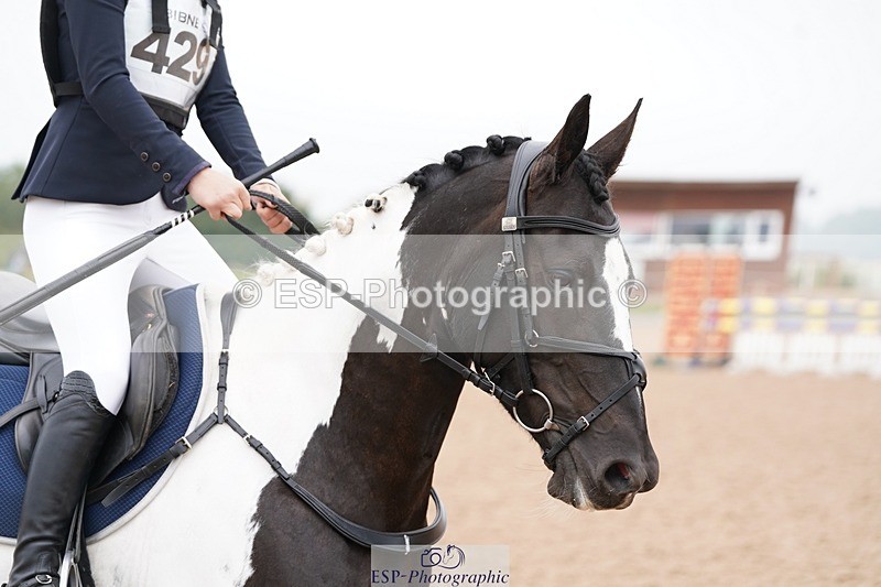 240901A-092522-05357 - 429-Maisie.Jenssen-CAPPA.RATHMORRISSEY.LADY.GERTRUDE