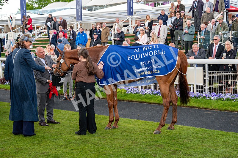 140526-Race 4-See The Fire-1387 - Race 4 3.30pm Al Basti Equiworld Dubai Middleton Fillies' Stakes