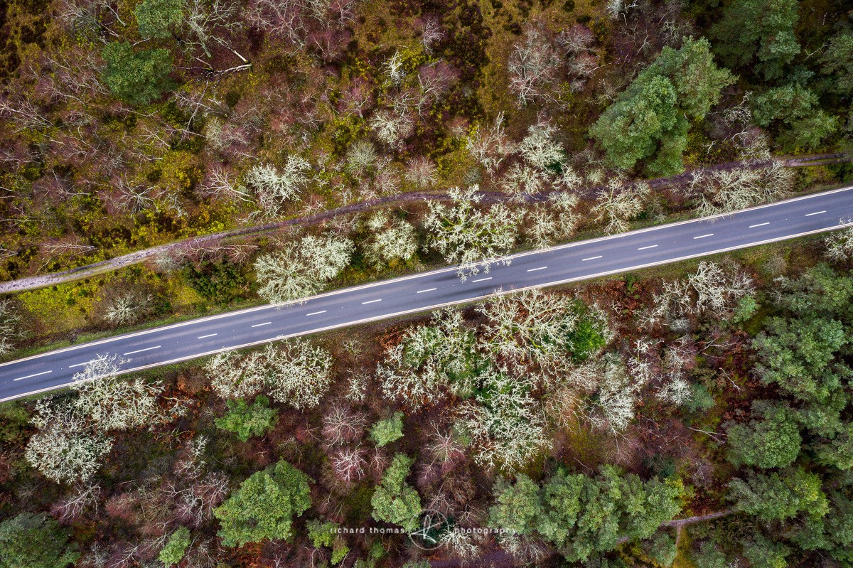 Road through the Petri dish - FROM ABOVE