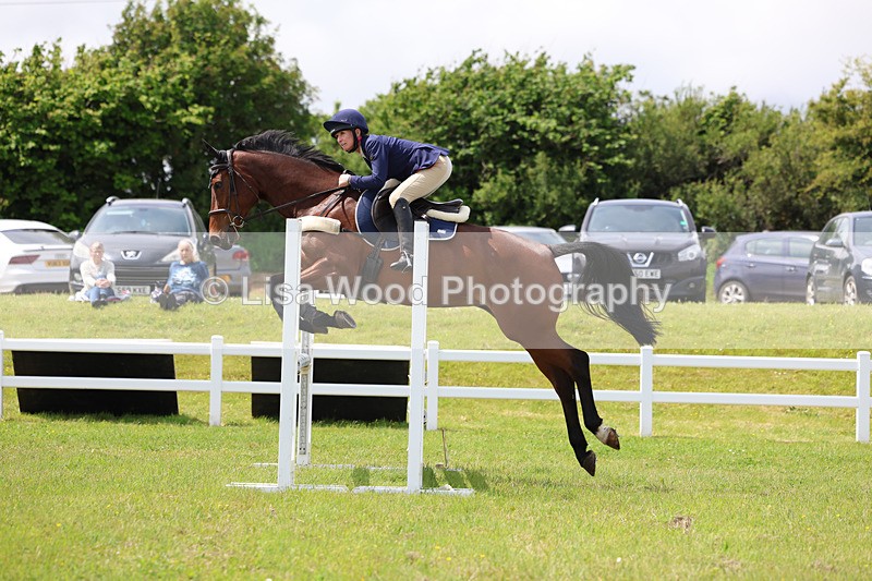 3E7A7398 - Class 13: Senior British Novice/90cm open
