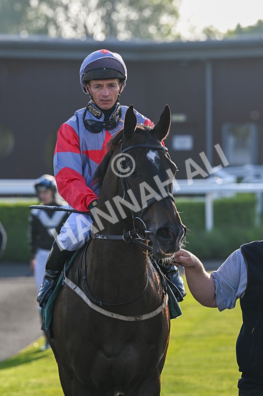 310524-Race 2-Dandy Fitz-8535 - Race 2