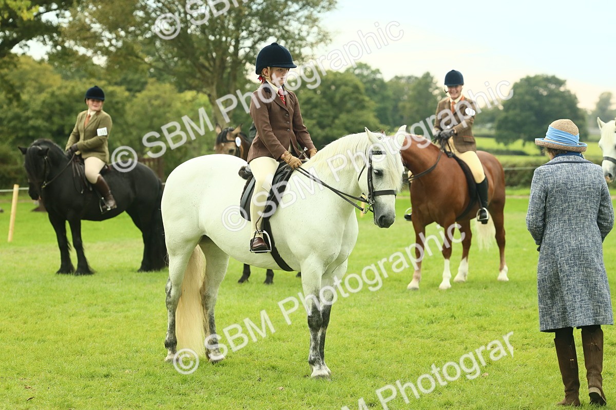 SBM_72011 - S60 - Mountain & Moorland Ridden Large Breeds