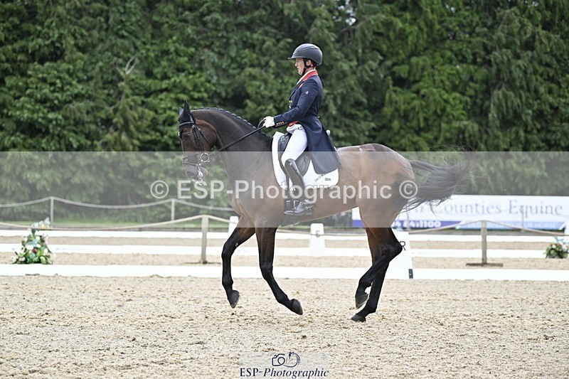 000101-204011-04173 - 413-BROOKFIELD_QUALITY-Tom_McEwen