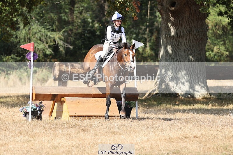 250824A-145314-39136 - 2147-George.Walford-meadow.sweet.conker