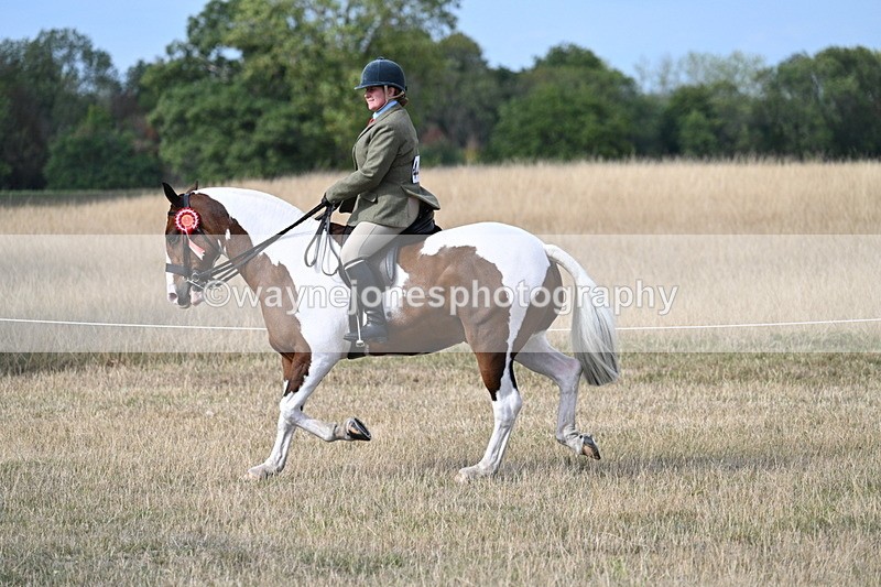WJ7_7810 - Ridden Championship