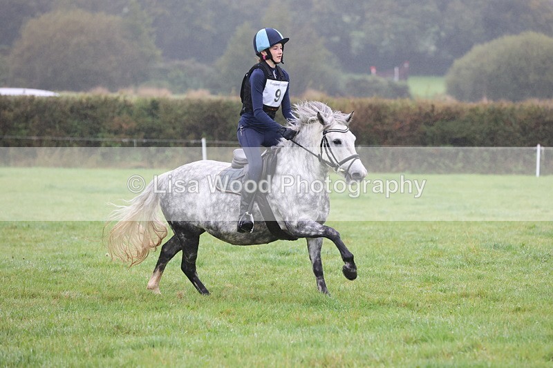 JPP_4968 - Class 1: 65cm : Showjumping