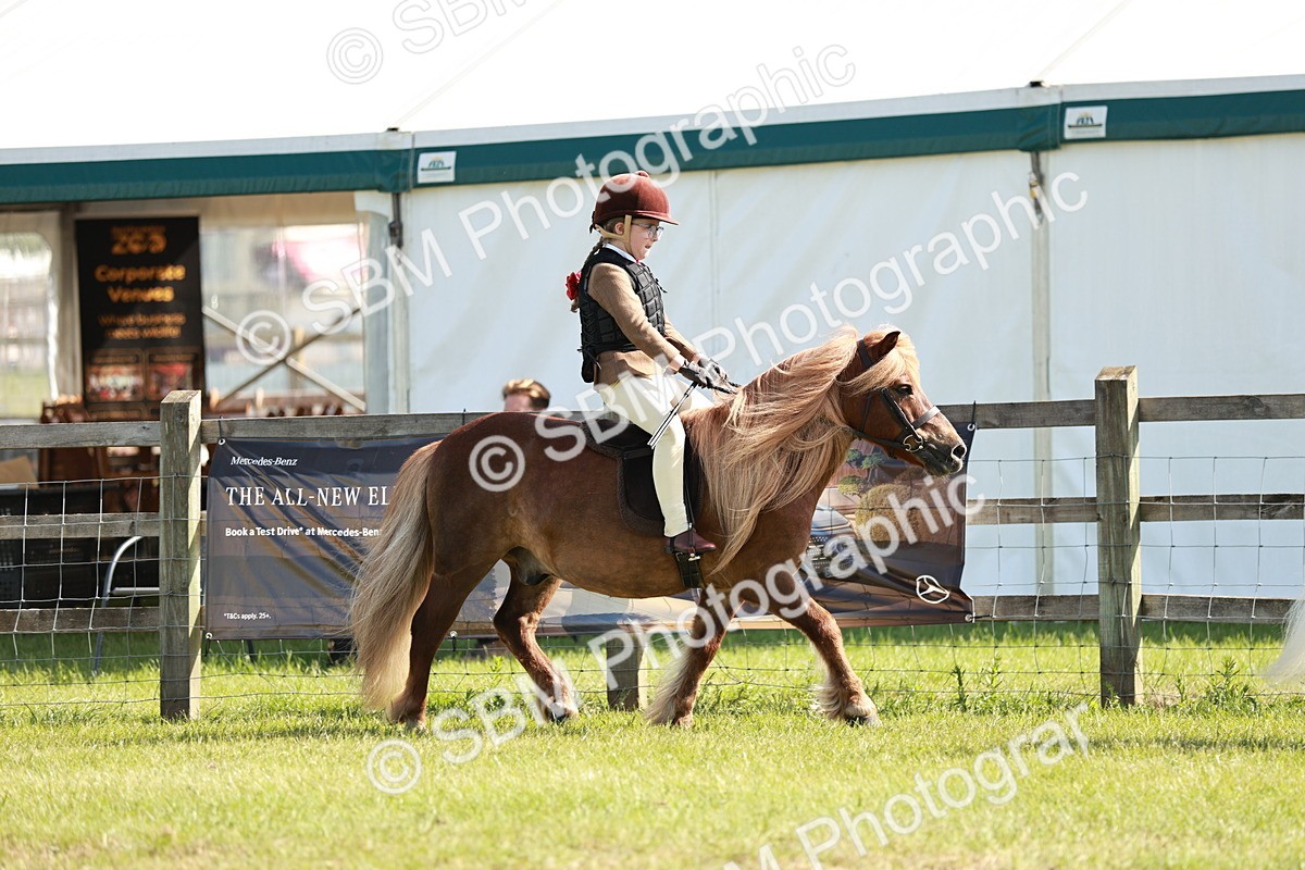 SBM_12565 - Class 106-107 - BSPS LIHS Working Sports Pony