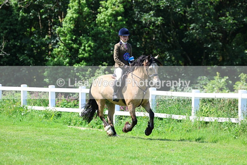 3E7A6738 - Working Hunter Pony Championship