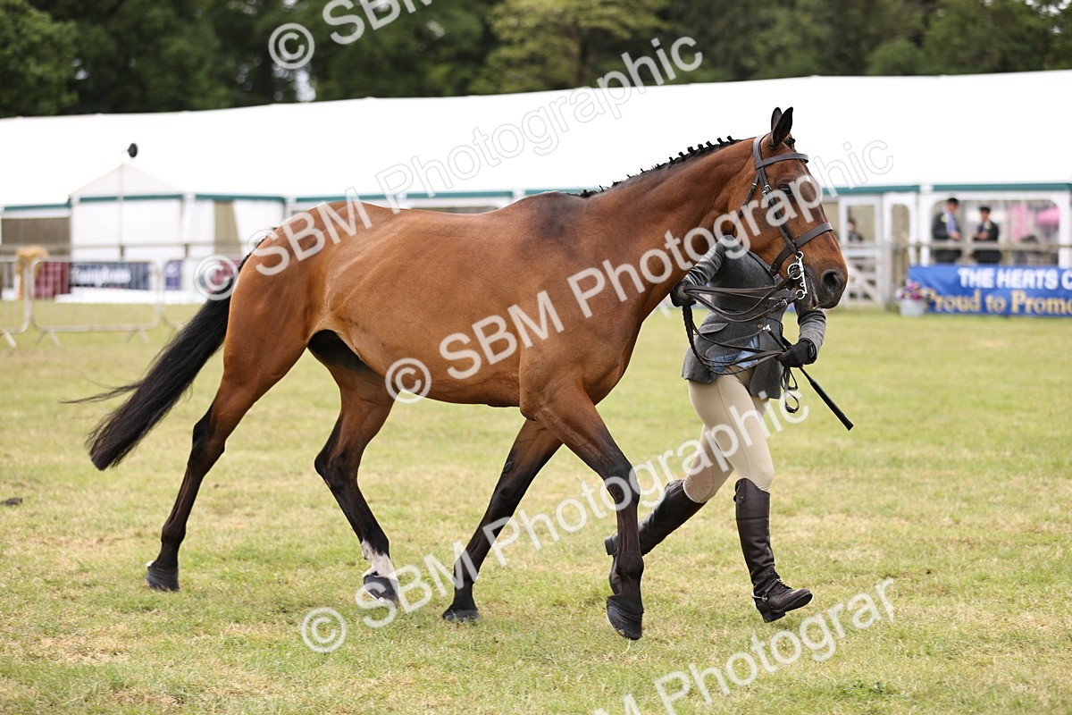 SBM_14731 - Class 88-89 - LIHS BSHA Rising Star of Ridden Hunter Type