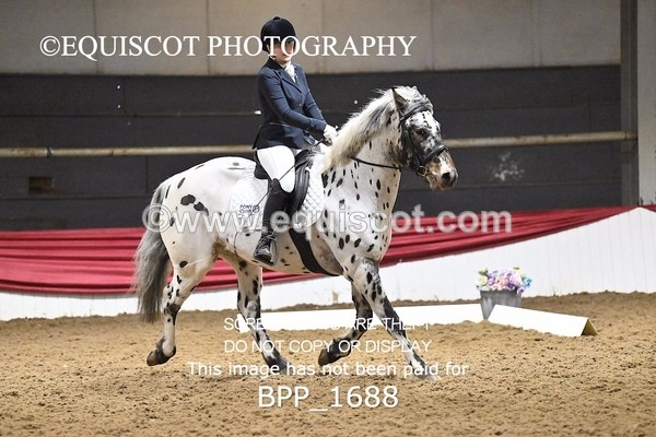 BPP_1688 - PC NOVICE DRESSAGE