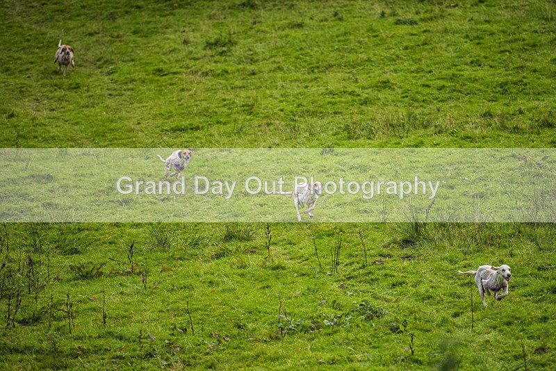 Grasmere-3 - Grasmere Sports Junior & Senior Fell Races Sunday 27th August 2023