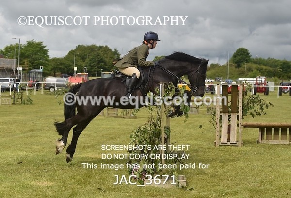 JAC_3671 - 75CM WORKING HUNTER