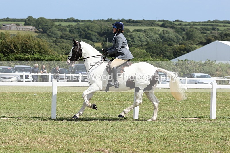 JPP_2328 - Class 19: Working Hunter 60cm