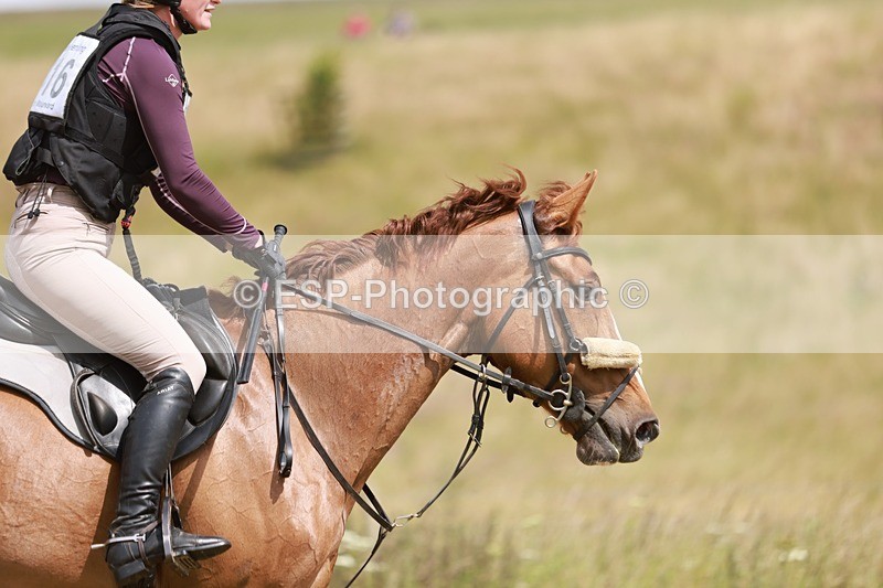 240630X-153105-9275 - 416-Morwenna_Barnicoat-AP_MY_DARLING_CLEMENTINE