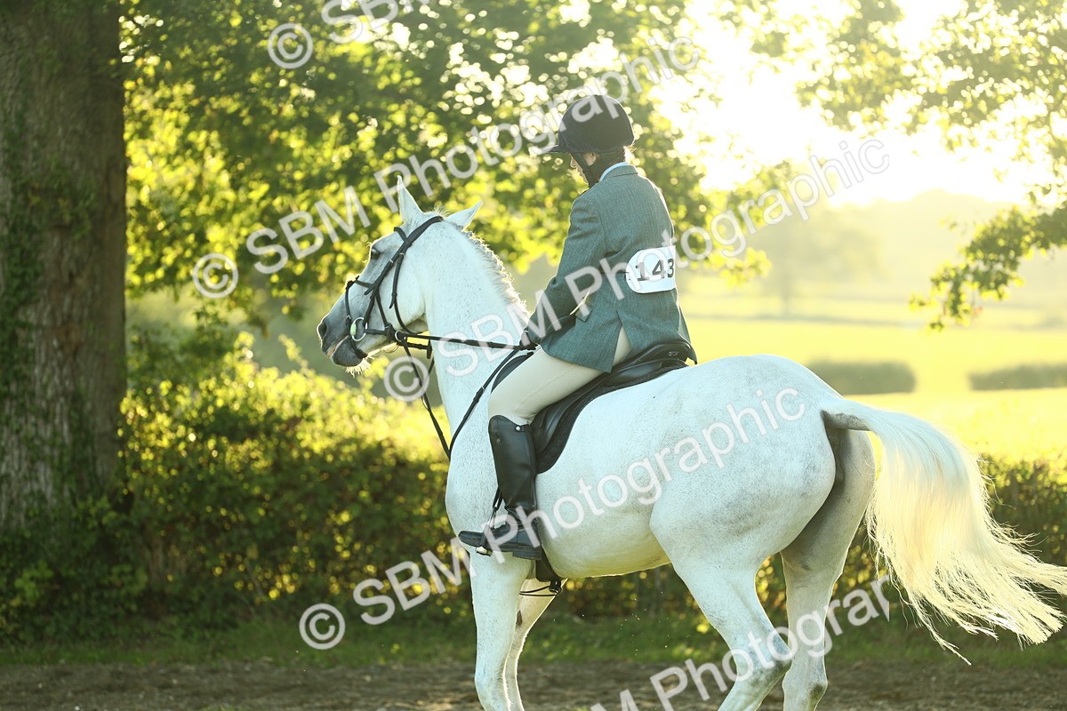 SBM_56400 - S14 - Riding Club Horse