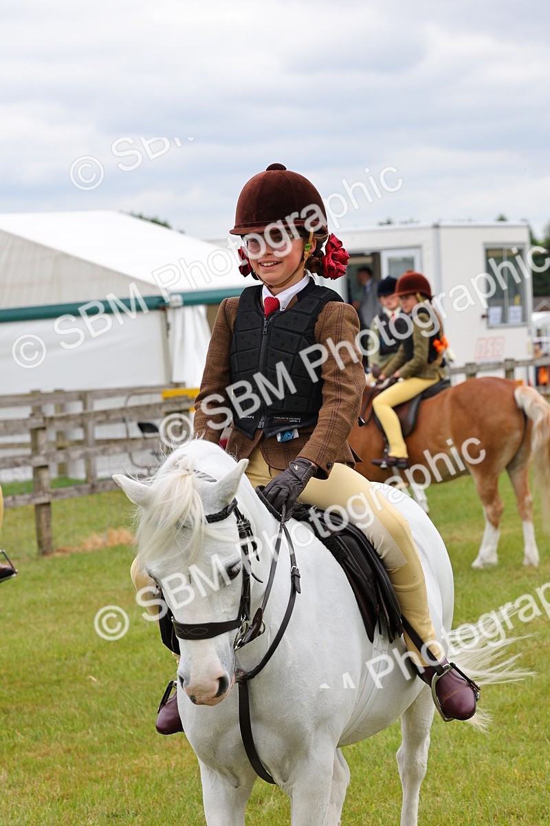 SBM_08824 - Class 42-43 - LIHS BSPS Heritage Working Sports Pony
