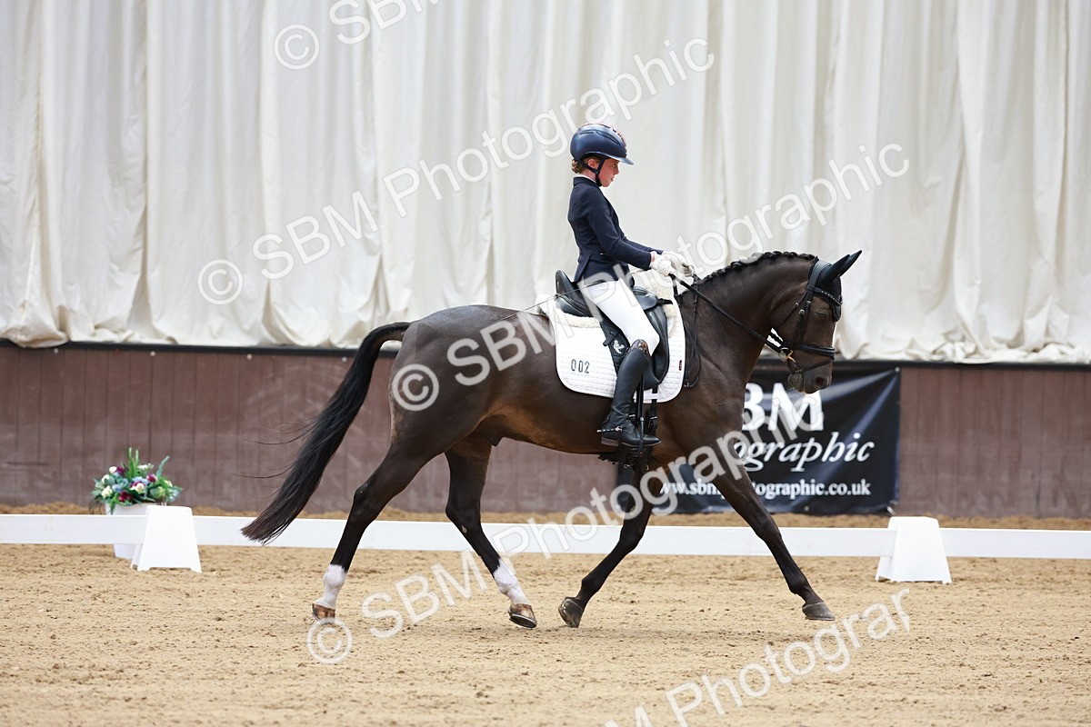SBM_017101 - Class15 - FEI Pony