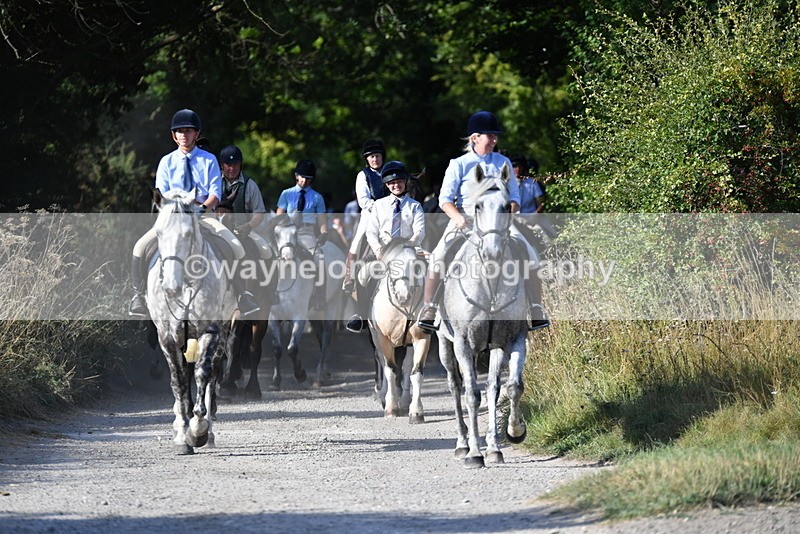 WJ5_4878 - Walk out with the hounds