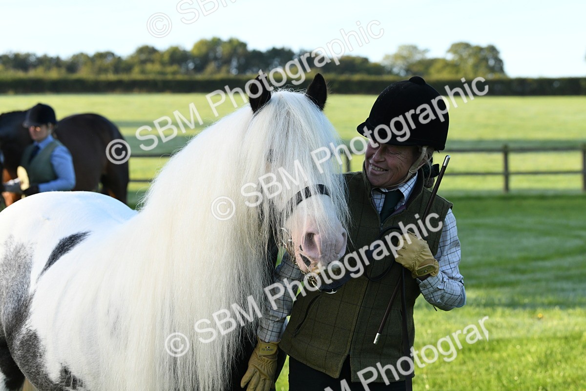 SBM_32665 - S15 - Condition & Turnout In Hand