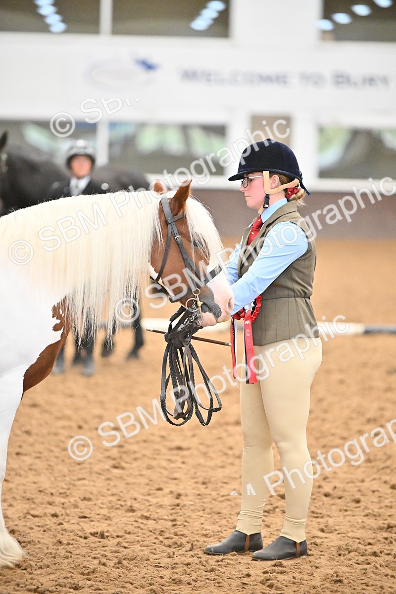 SBM_000784 - Class 16 - In Hand Showing Supreme Championships