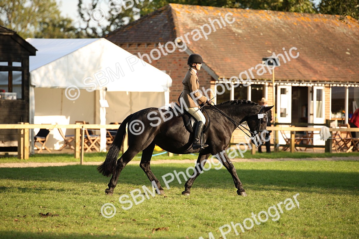 SBM_54430 - S27 - Mature Veteran - Ridden