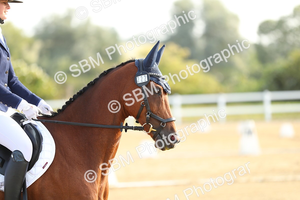 SBM_014959 - Class 13 - Novice 23 - 8,30-9.33