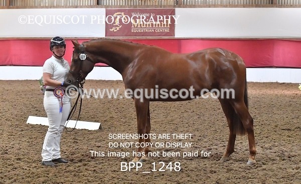 BPP_1248 - MORNING 9AM - 12PM