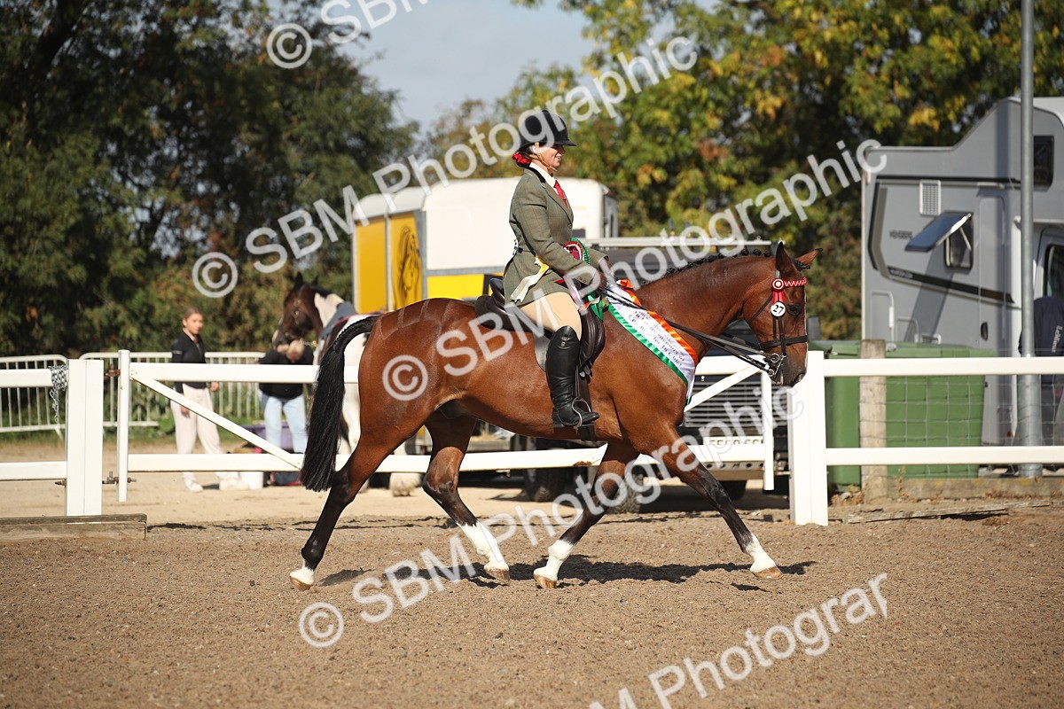 SBM_22745 - Class 601 - 2026 - Area - Ridden Diamond