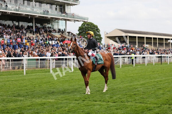 yr13052022r4-71 - Race 4 3.35pm The Paddy Power Yorkshire Cup (British Champions Series Race)
