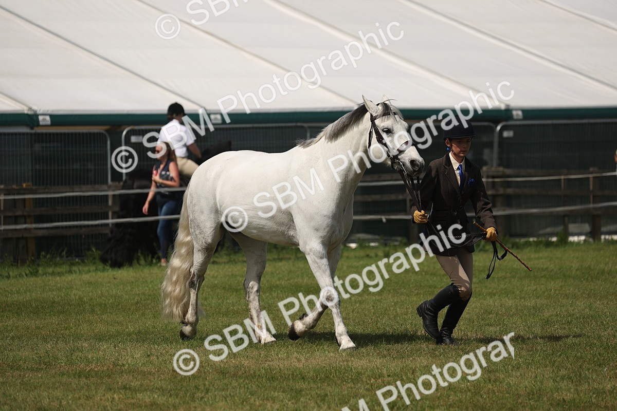 SBM_07622 - Class 26-30 - Mountain and Moorland Ridden