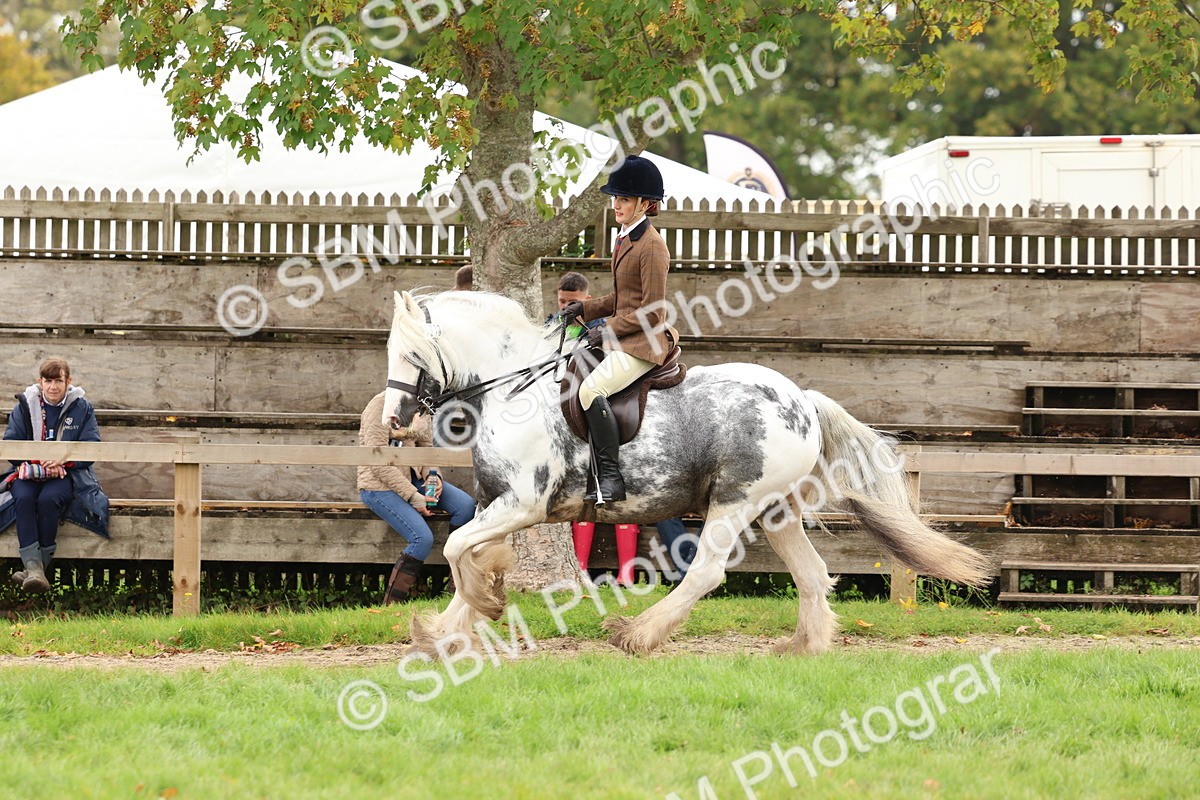 SBM_64480 - S58 - Coloured Pony Ridden