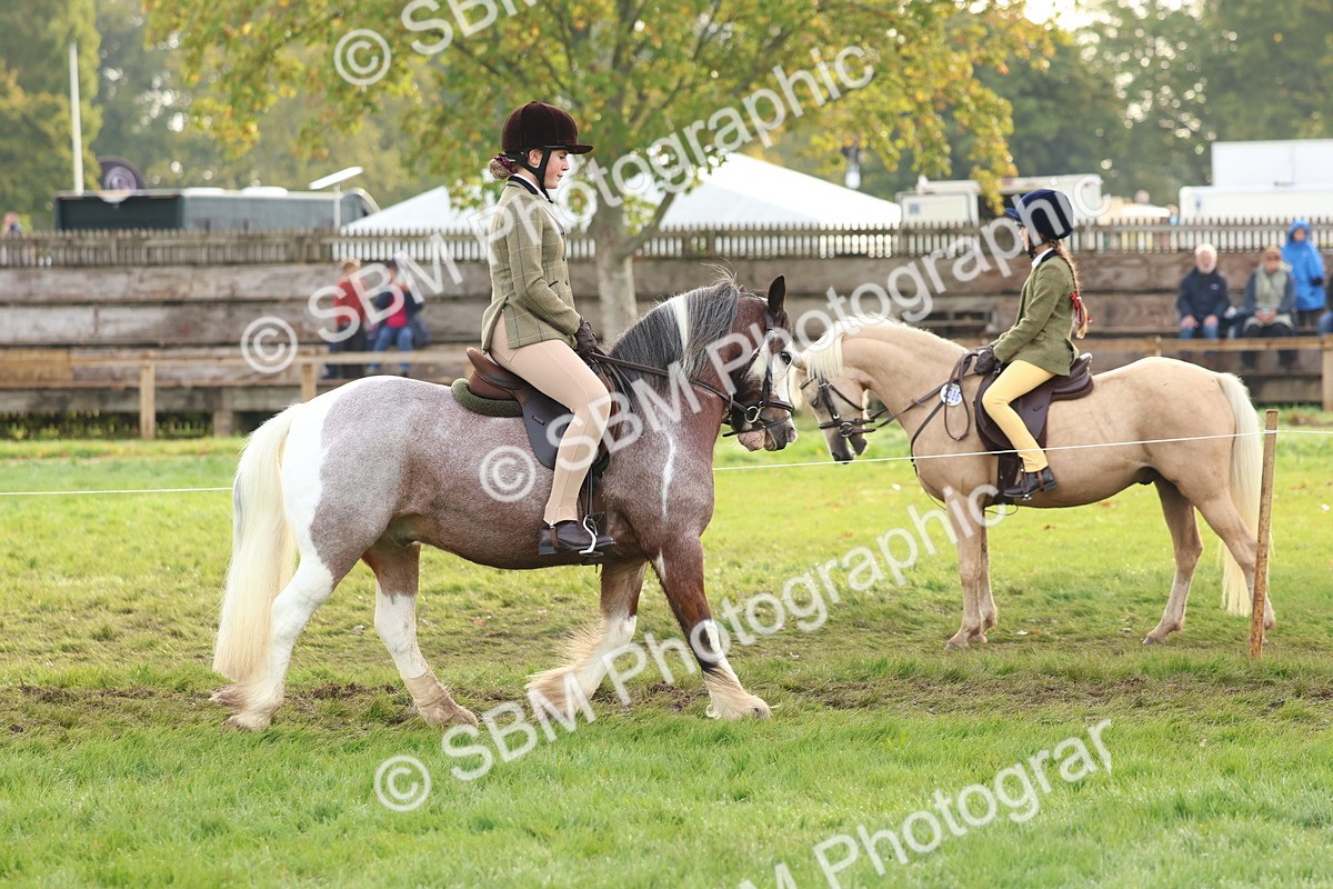 SBM_56599 - S40 - Starters Ridden Showing