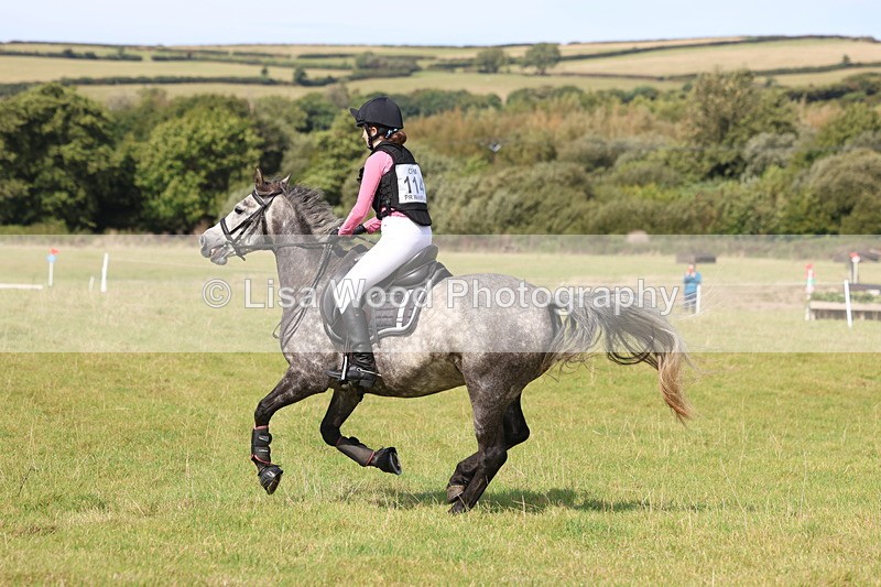 3E7A6632 - Class 1: Trebudannon Open: Pheasant Feeder
