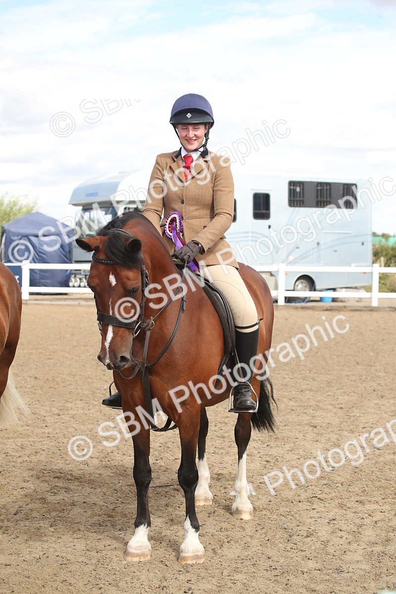 SBM_14602 - Class 505a - M&M Working Veteran - 50cm (15-19)