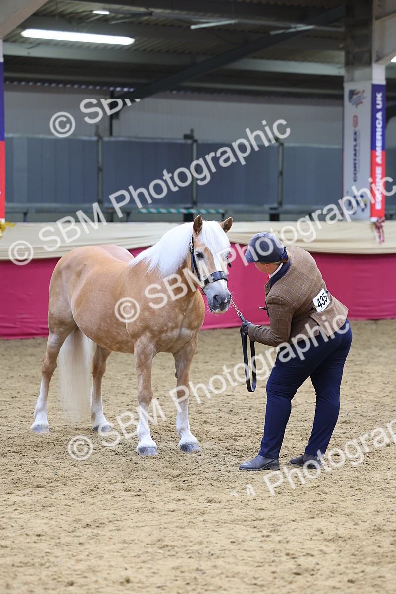 SBM_23221 - Supreme Final - IH Champion