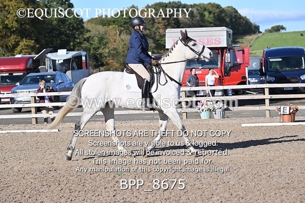 BPP_8675 - SHORT ARENA INTRO 3
