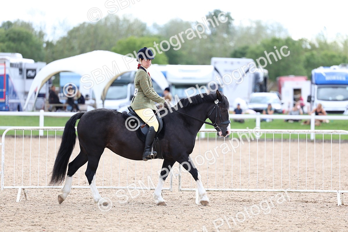 SBM_15751 - Class 314 - Family Horse - Pony