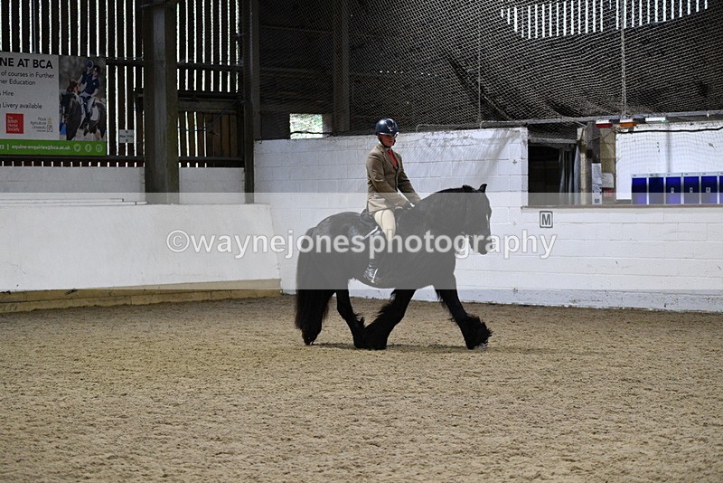 WJ5_8629 - Class 14 Novice Ridden/Rider