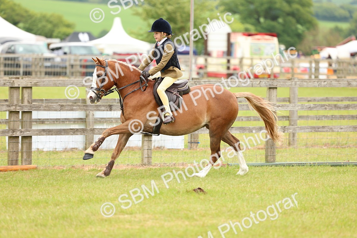 SBM_10248 - Class 44-45 - LIHS BSPS Open Nursery and Cradle Stakes