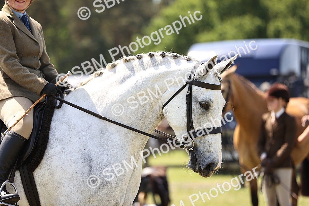 SBM_15164