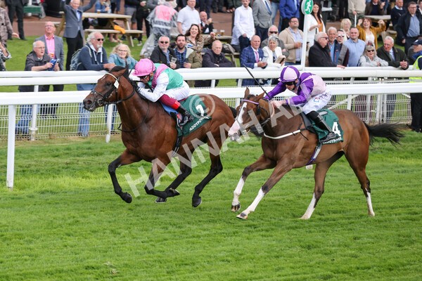 yr11052022r5-19 - Race 5 4.10pm Paddy Power 'Here For The Craic' Stakes
