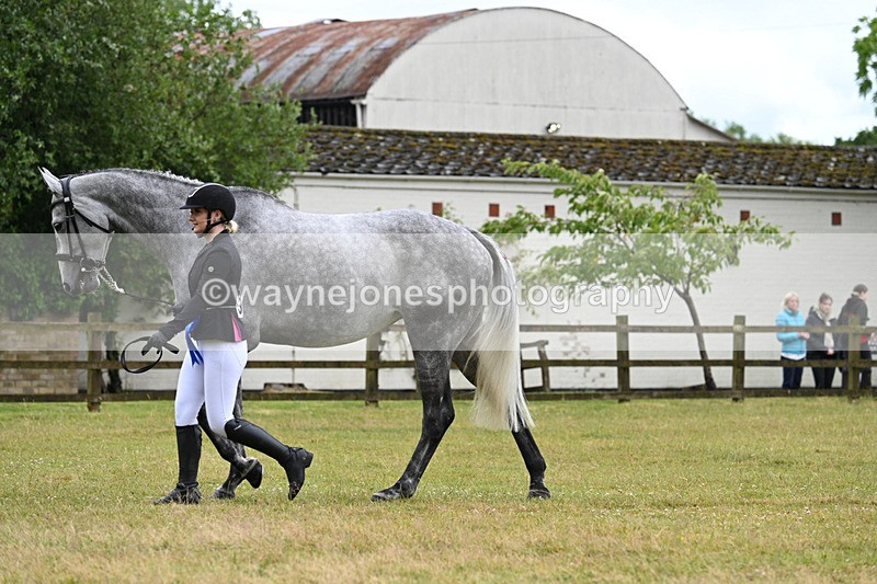 WJ7_6431 - Class 4a Prettiest Mare over 14hh