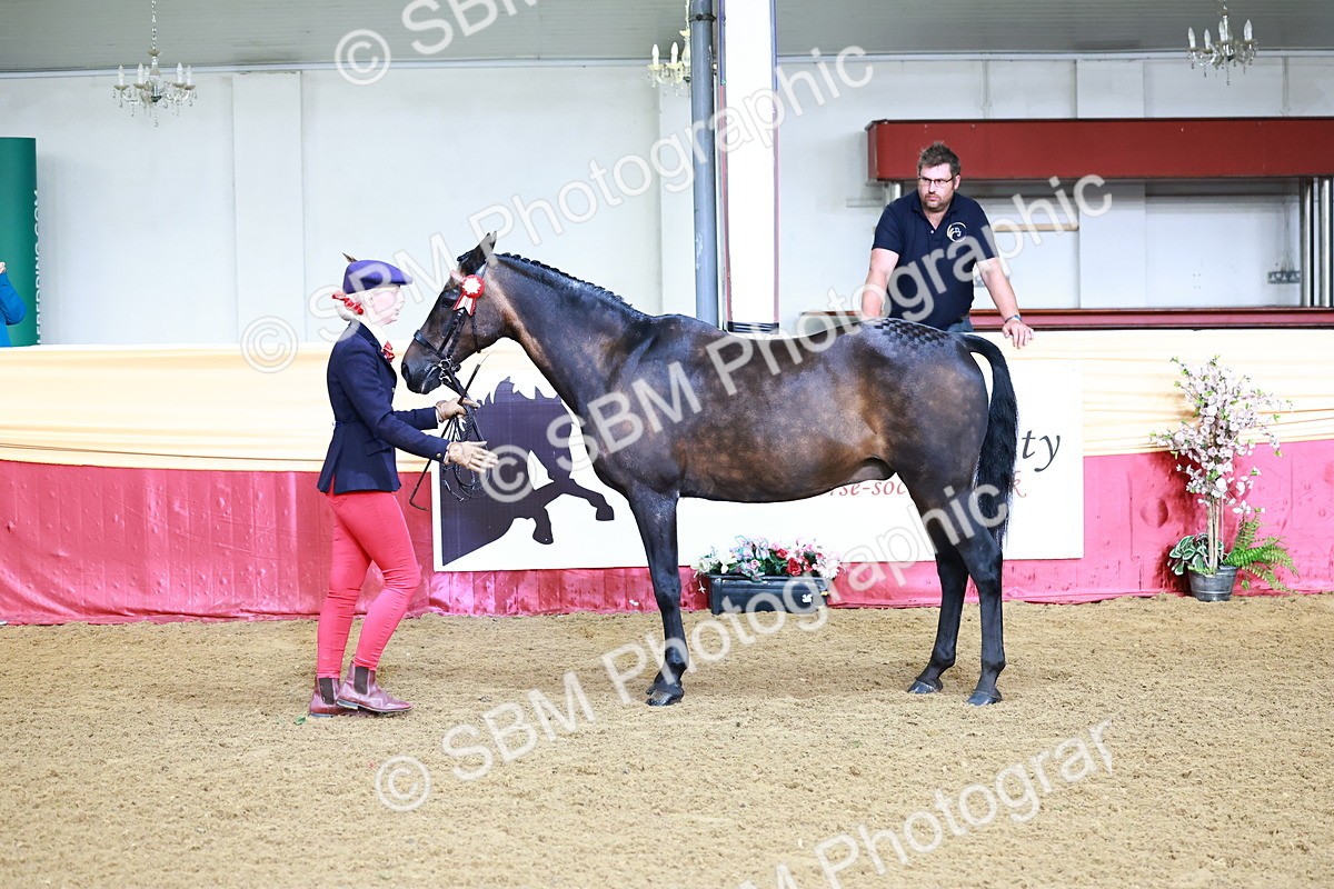 SBM_21719 - Class 901 - Supreme Final - IH  Diamond