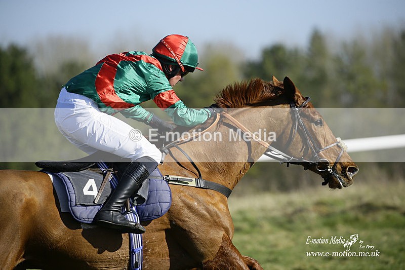 PtP 270222 128 - South & West Wilts Point-to-Point Larkhill 27/02/22