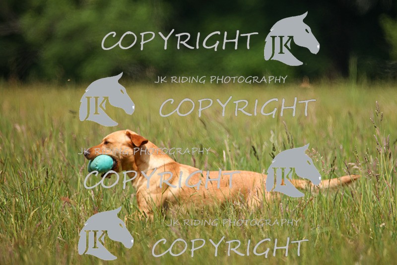 2R6A8604 - 34 Christopher