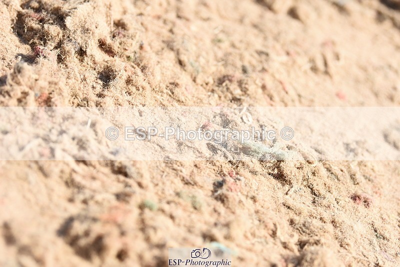 230915A-143120-00649 - Cls 12 1.05m Amateur Qualifier