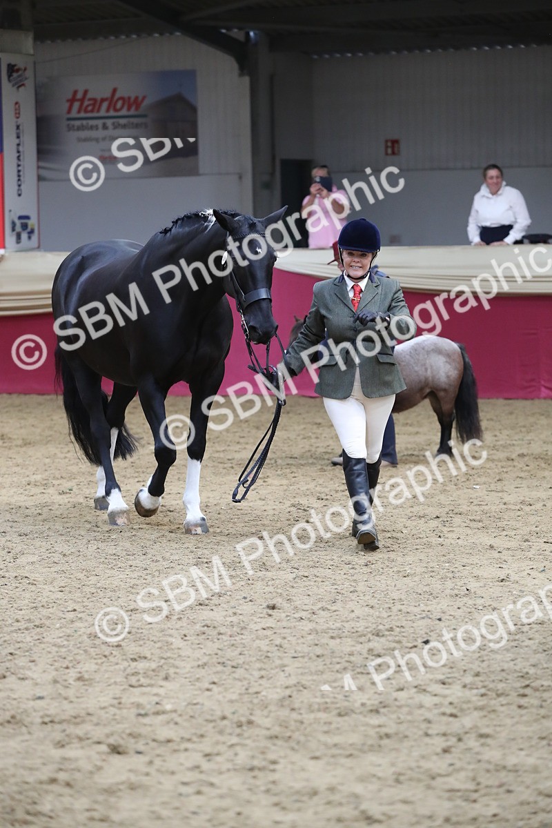 SBM_06452 - Class 9R Regional- IH Pre Vet