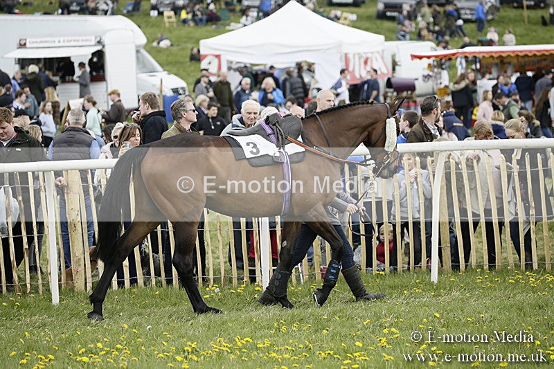 PtP 170417 110 - Old Berks Point-to-Point Lockinge 17/04/17