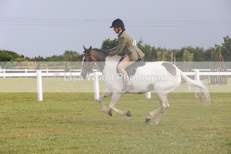 1X9A3048 - Class 26: Ridden Plaited Coloured Pony